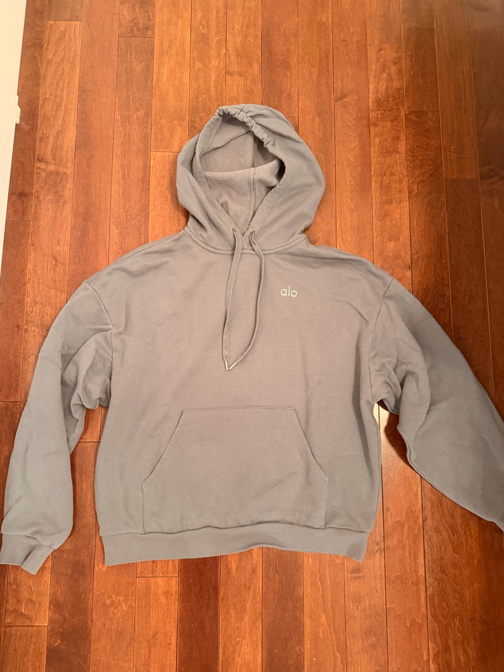 ALO Accolade Hoodie